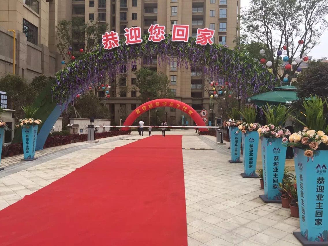 DB视讯
迎来项目交付季