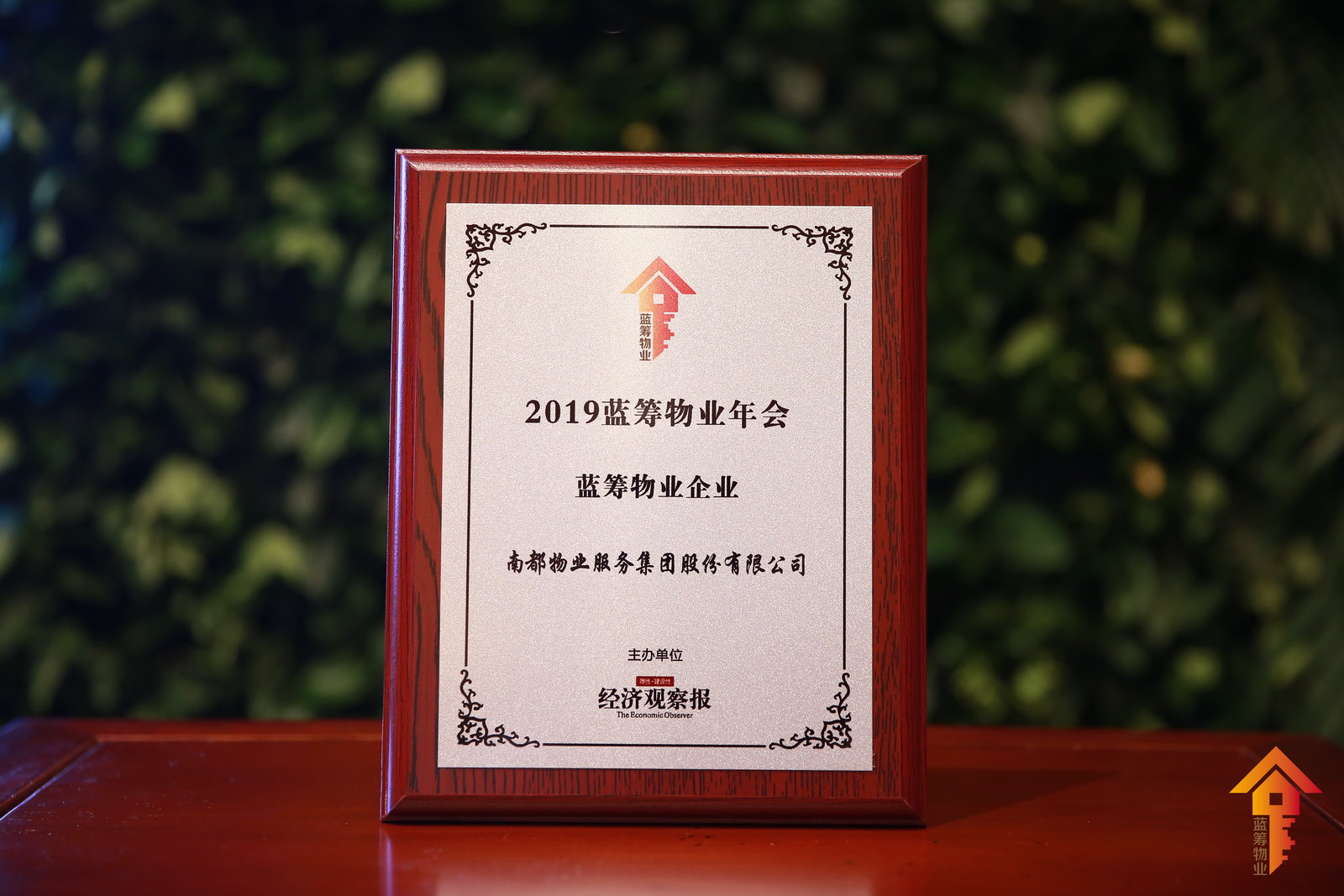 再膺新誉！DB视讯
荣获“2019蓝筹物业企业”