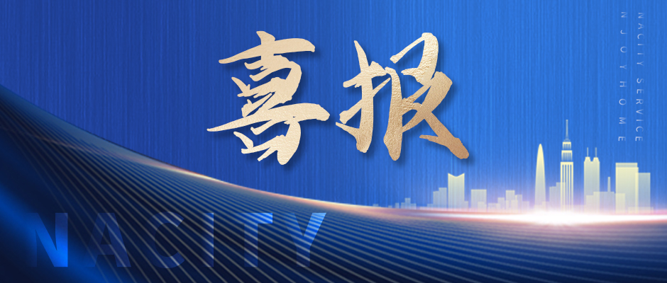 喜讯！DB视讯
荣获四项行业大奖