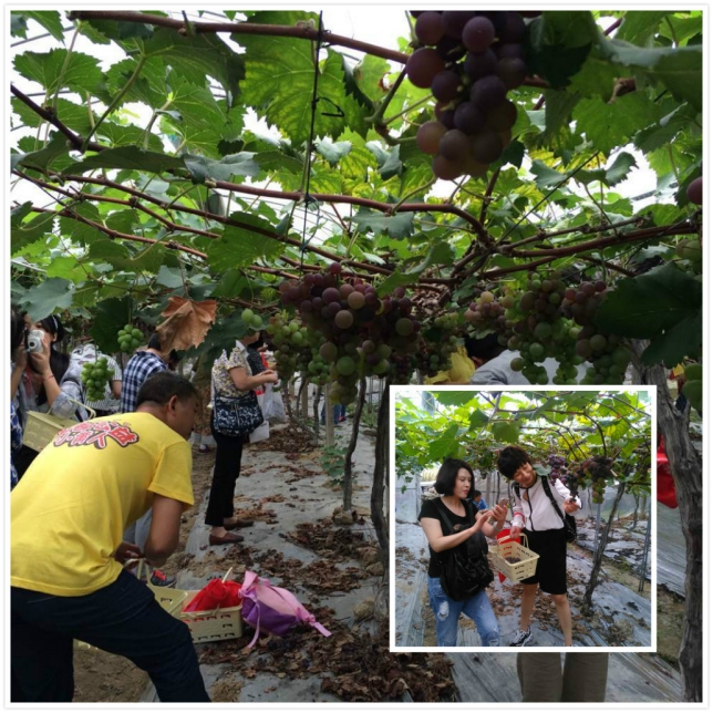 QQ图片20150713092856.png