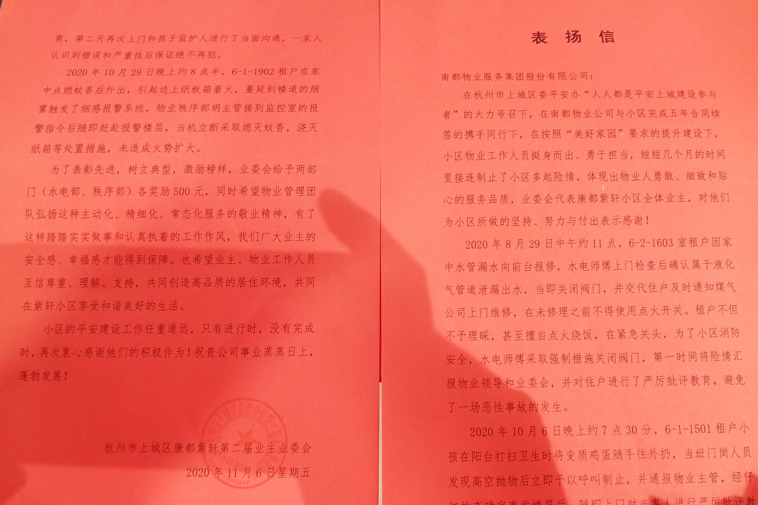 康都紫轩9_副本.jpg
